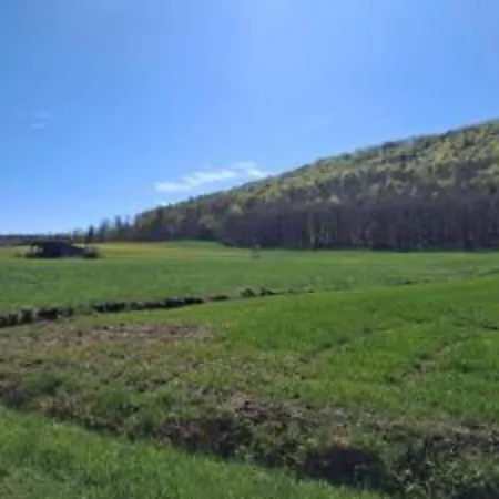 In Armsfeld Mit Pool Apartment Bad Wildungen