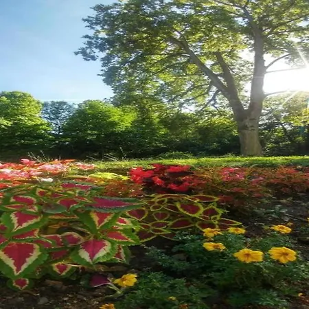 In Armsfeld Mit Pool