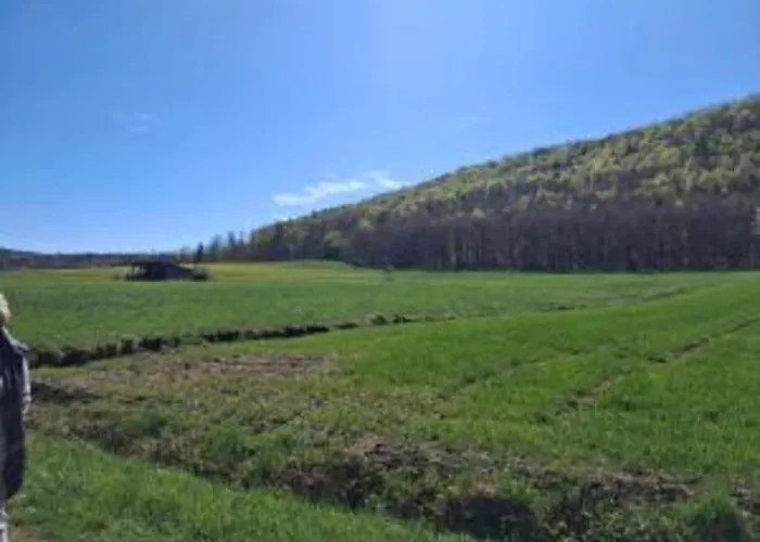 In Armsfeld Mit Pool Apartamento Bad Wildungen