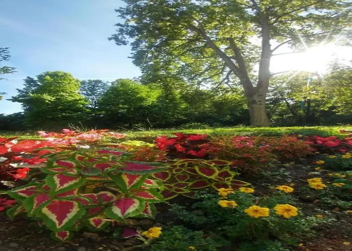 In Armsfeld Mit Pool