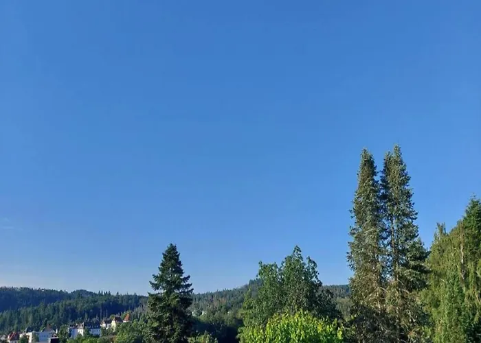 Apartamento In Armsfeld Mit Pool Bad Wildungen